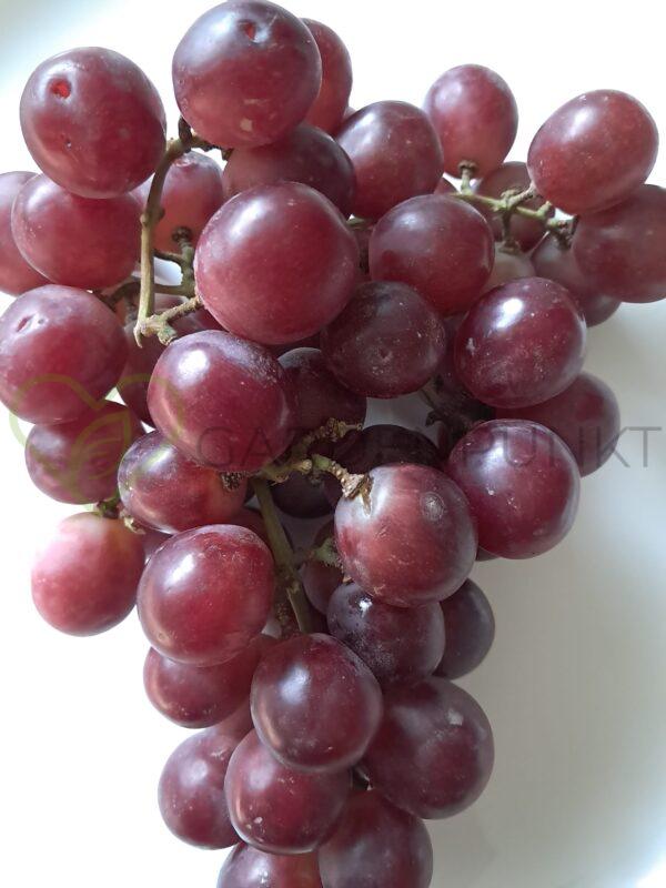 Winorośl Swenson Red - Vitis